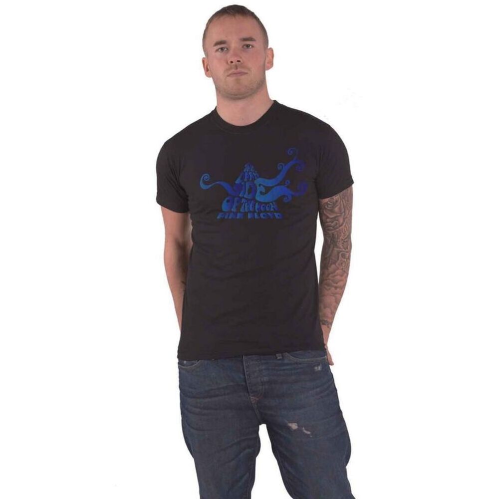 Pink Floyd Unisex Adult The Dark Side Of The Moon Swirl T-Shirt / Black